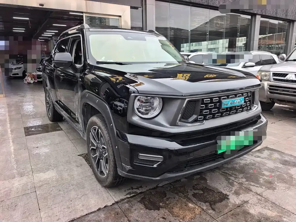 Haval Big Dog PLUS New Energy — фото 10