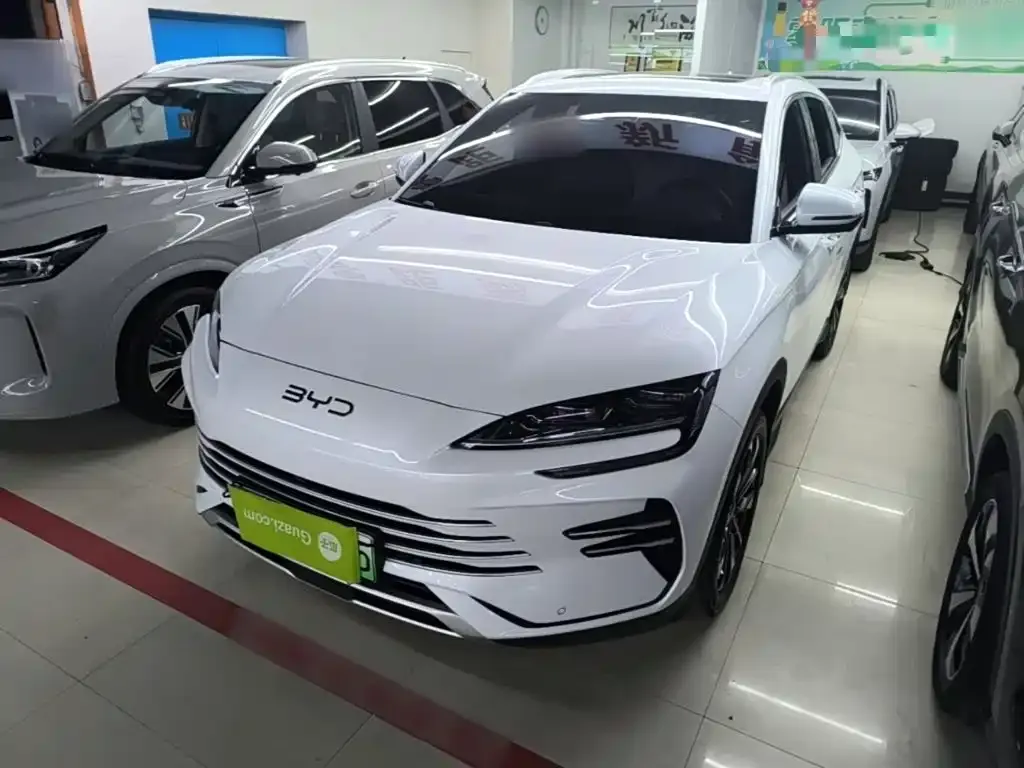 BYD PLUS New Energy — фото 1