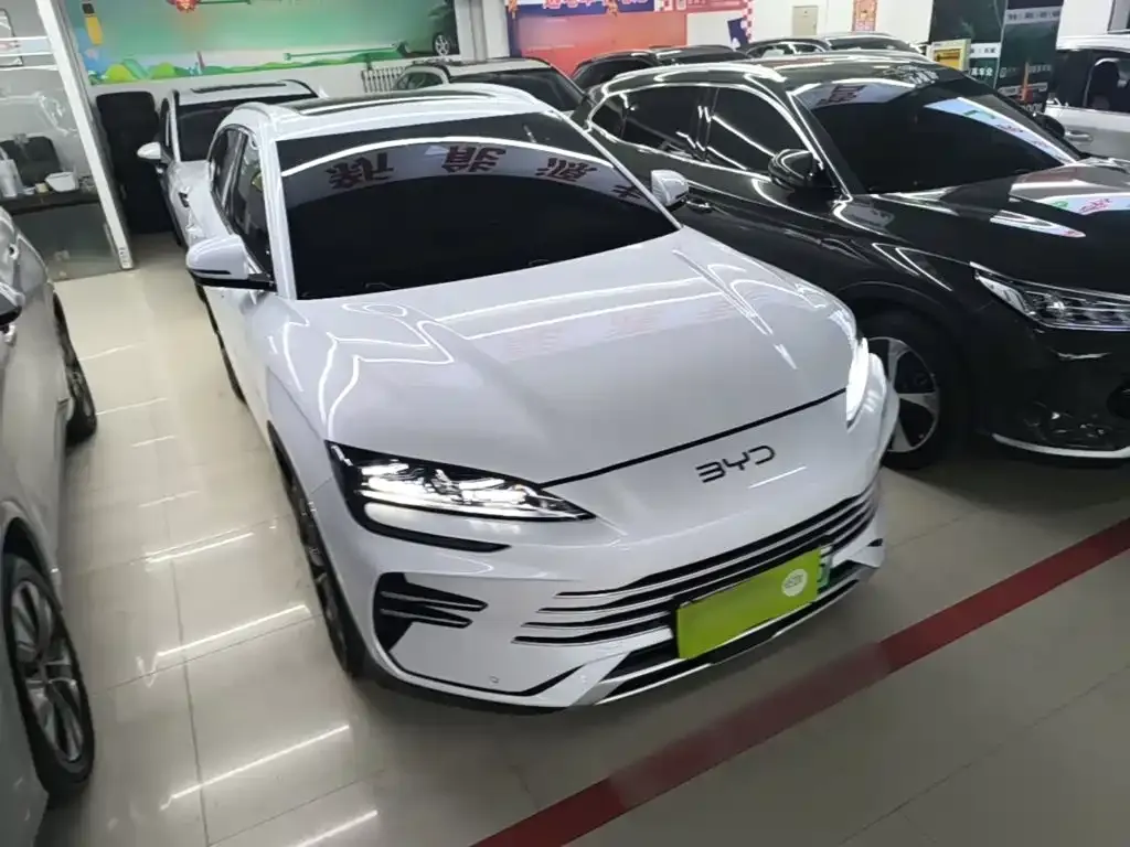 BYD PLUS New Energy — фото 8