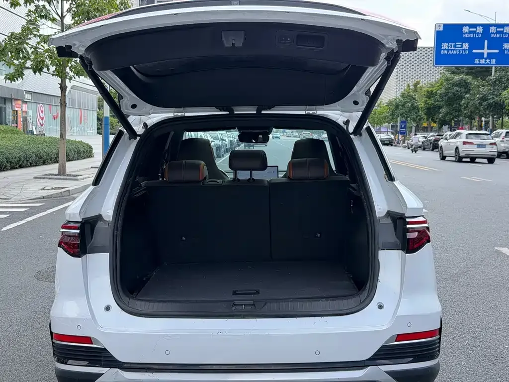 BYD Pro New Energy — фото 4