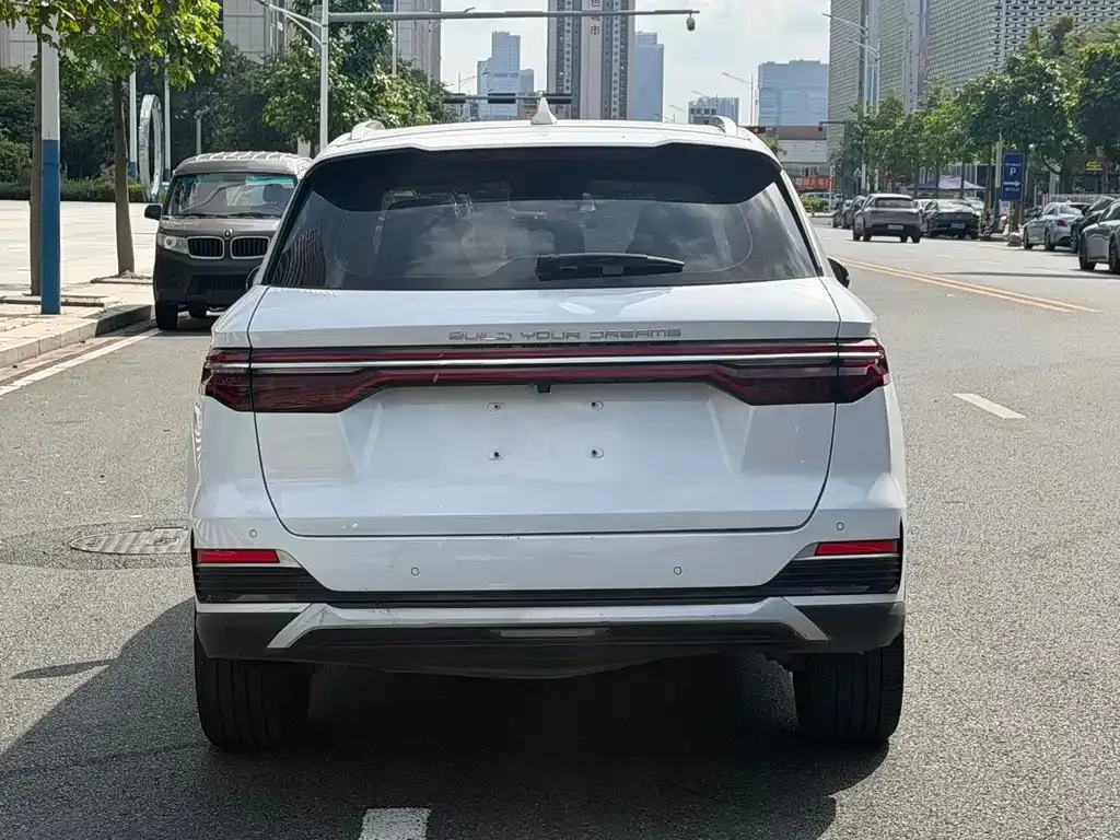 BYD Pro New Energy — фото 3