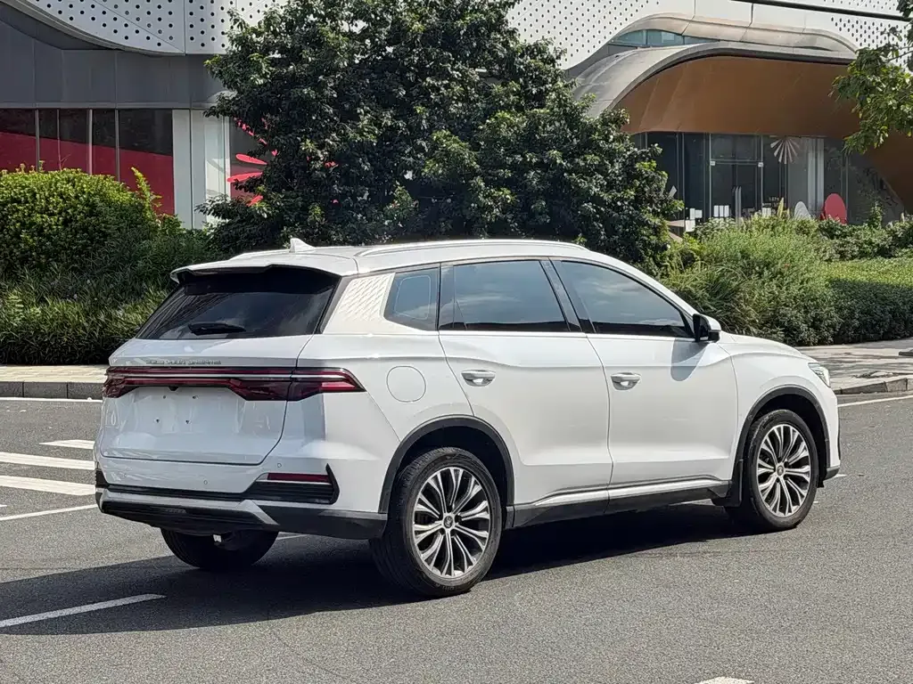 BYD Pro New Energy — фото 10