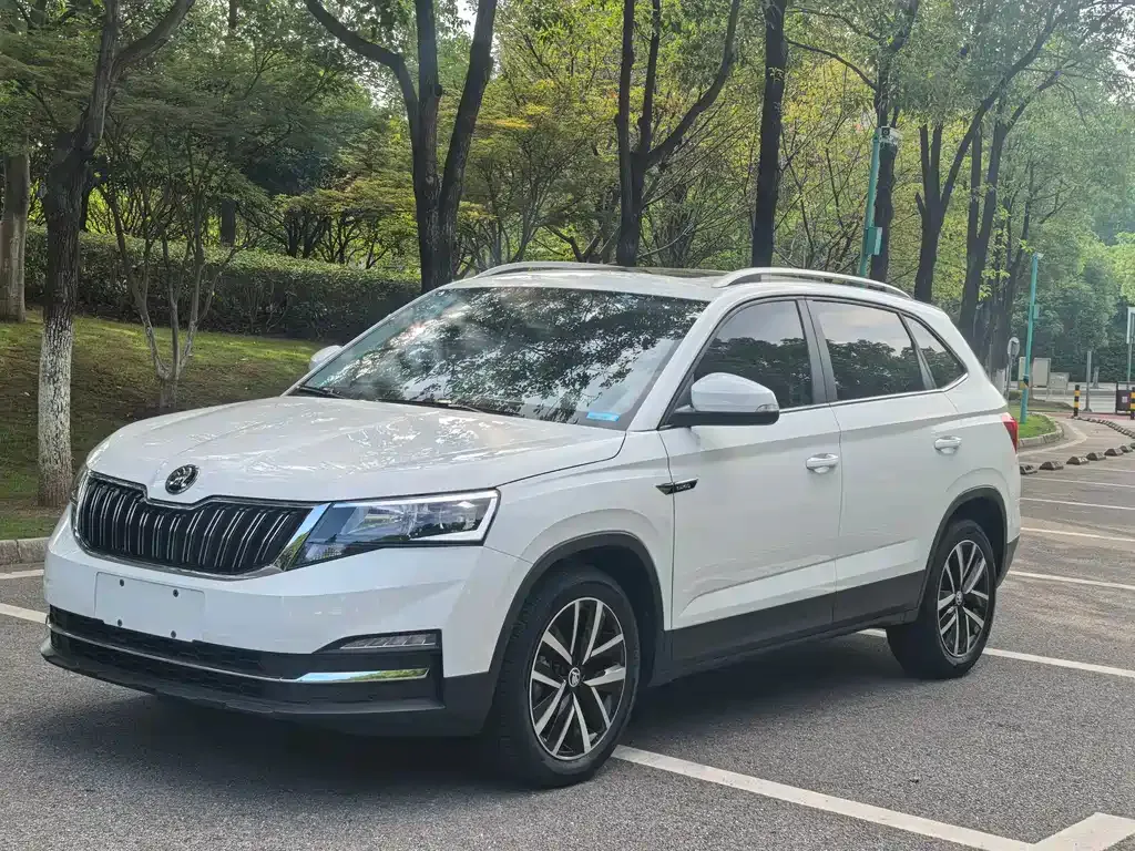 Skoda Kamiq — фото 8