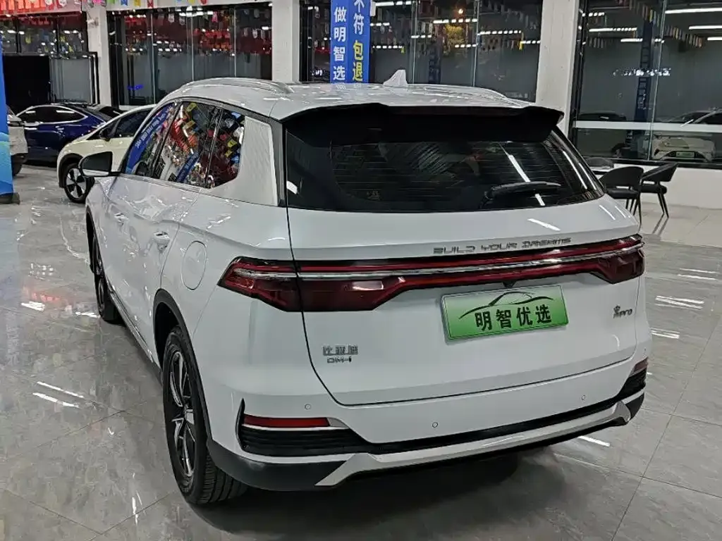 BYD Pro New Energy — фото 8