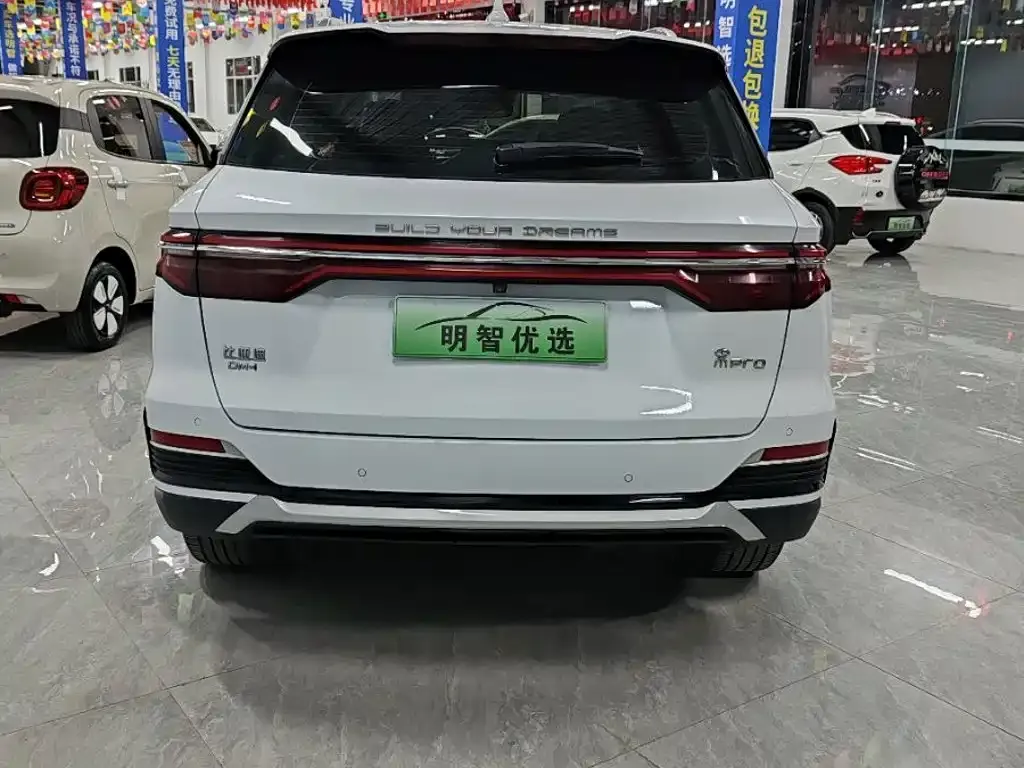 BYD Pro New Energy — фото 4