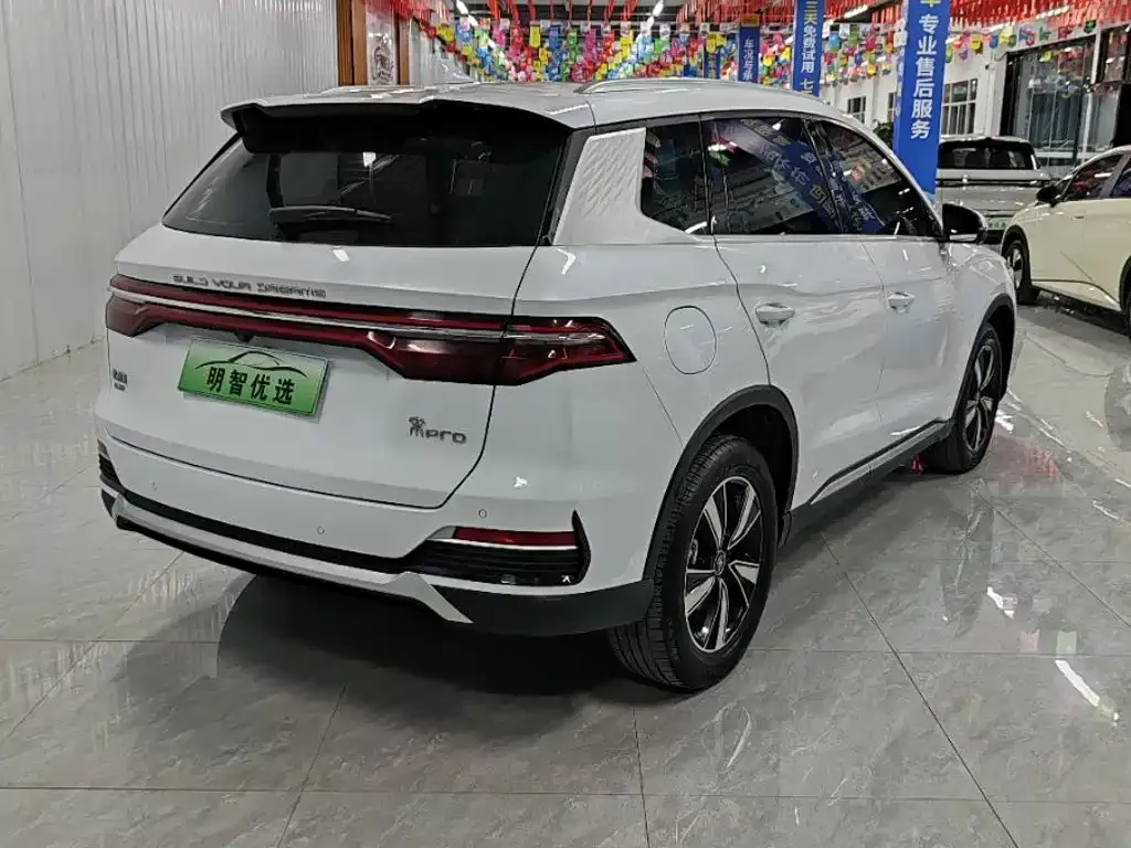 BYD Pro New Energy — фото 3