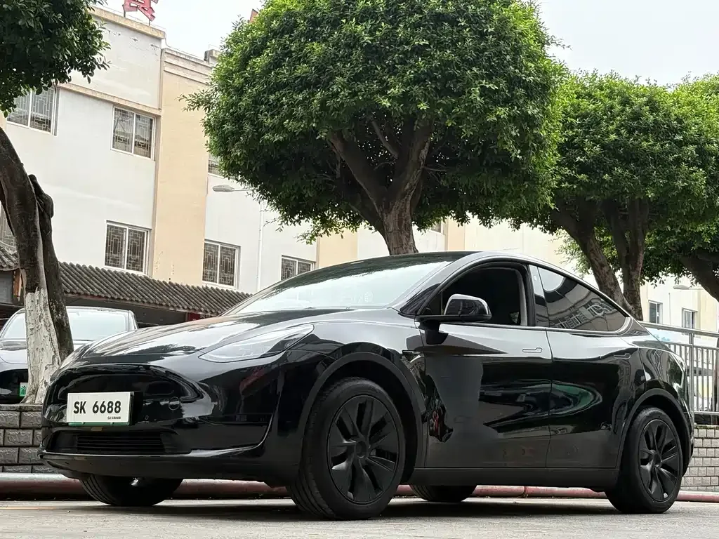 Tesla Model Y — фото 1
