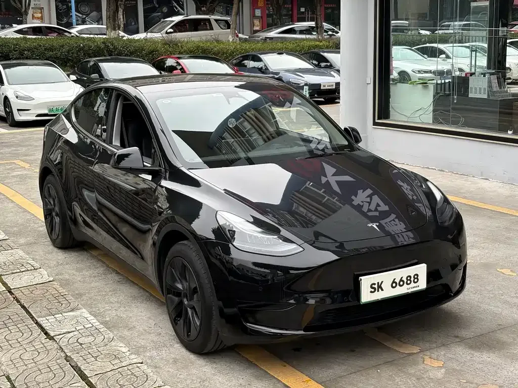 Tesla Model Y — фото 9