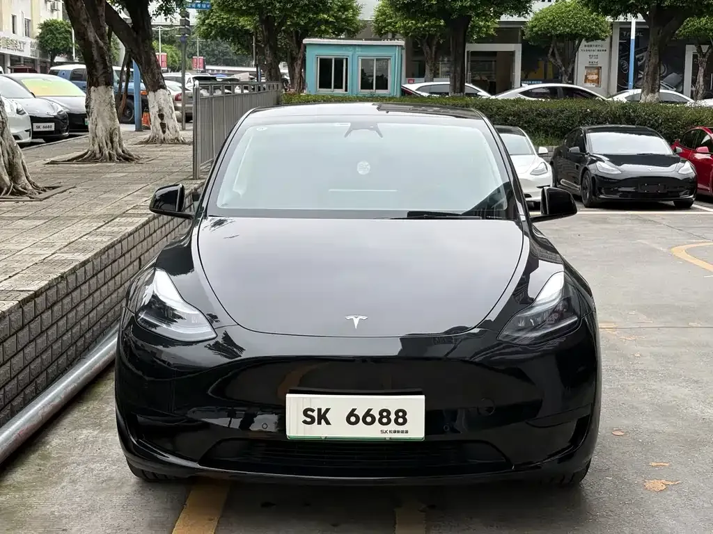 Tesla Model Y — фото 5