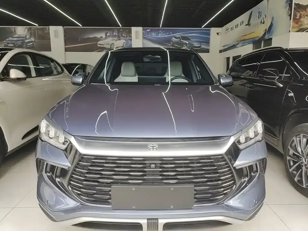 BYD Pro New Energy — фото 10