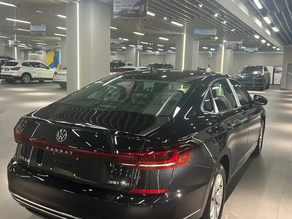 Volkswagen Passat — фото 6