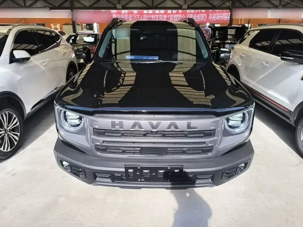 Haval Big Dog — фото 9