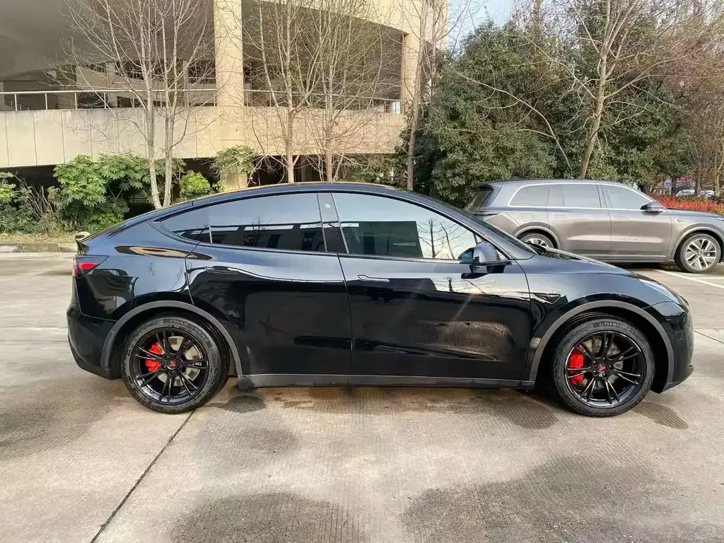 Tesla Model Y — фото 8