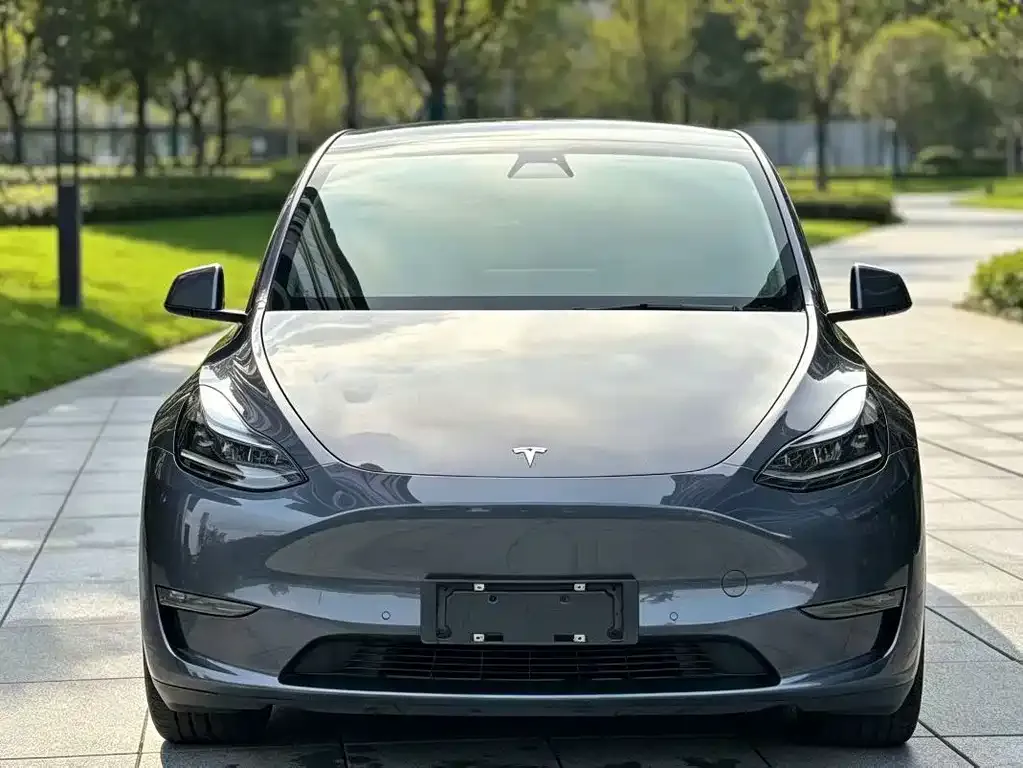 Tesla Model Y — фото 6