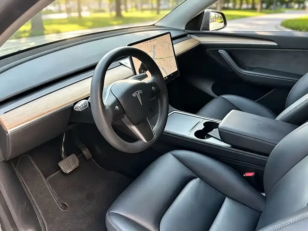 Tesla Model Y — фото 8