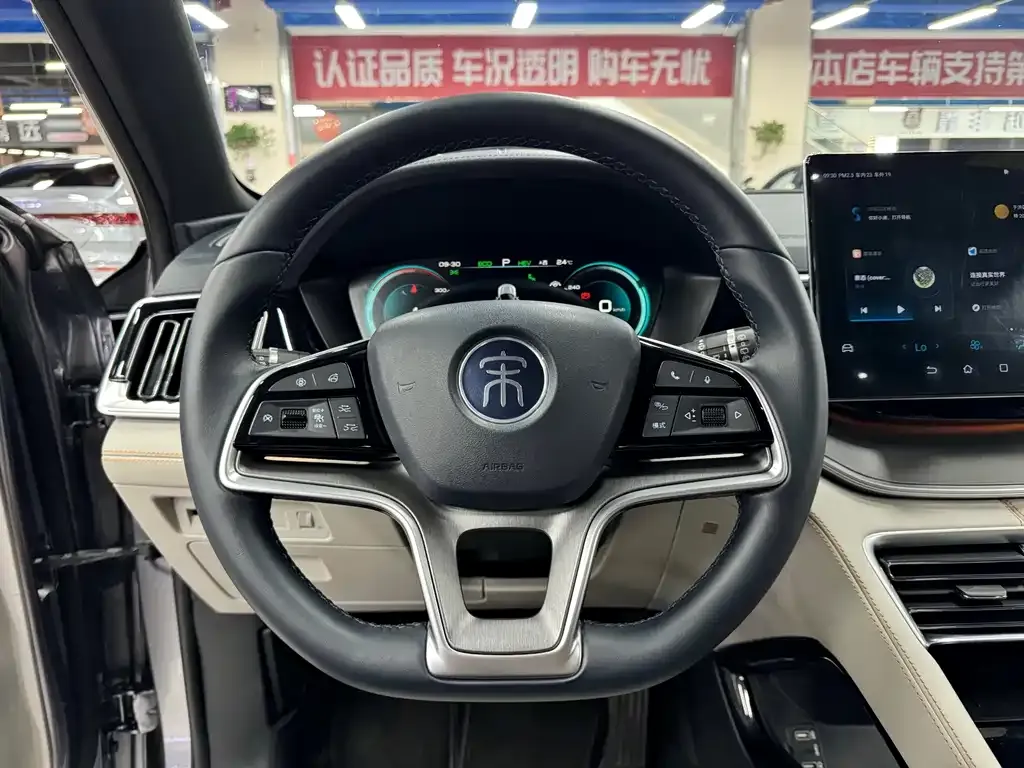 BYD PLUS New Energy — фото 6