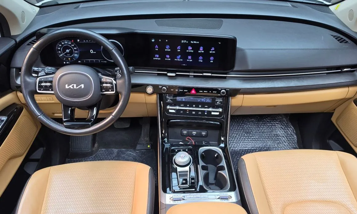 Kia Carnival — фото 10