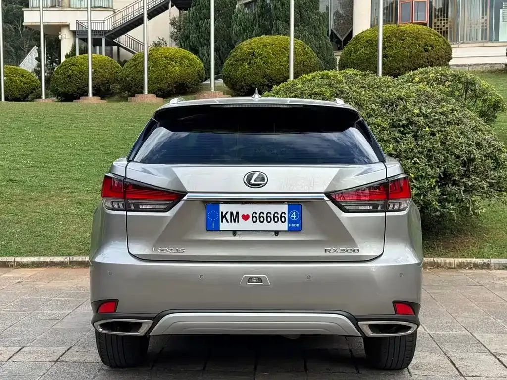 Lexus RX — фото 3