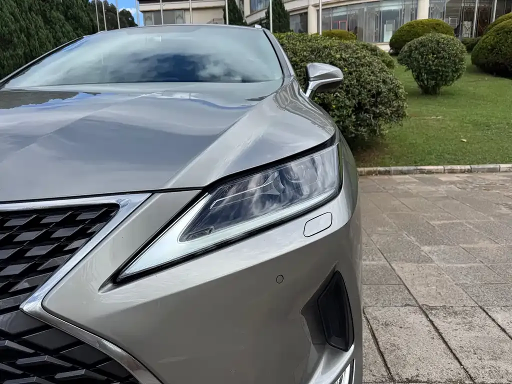 Lexus RX — фото 10
