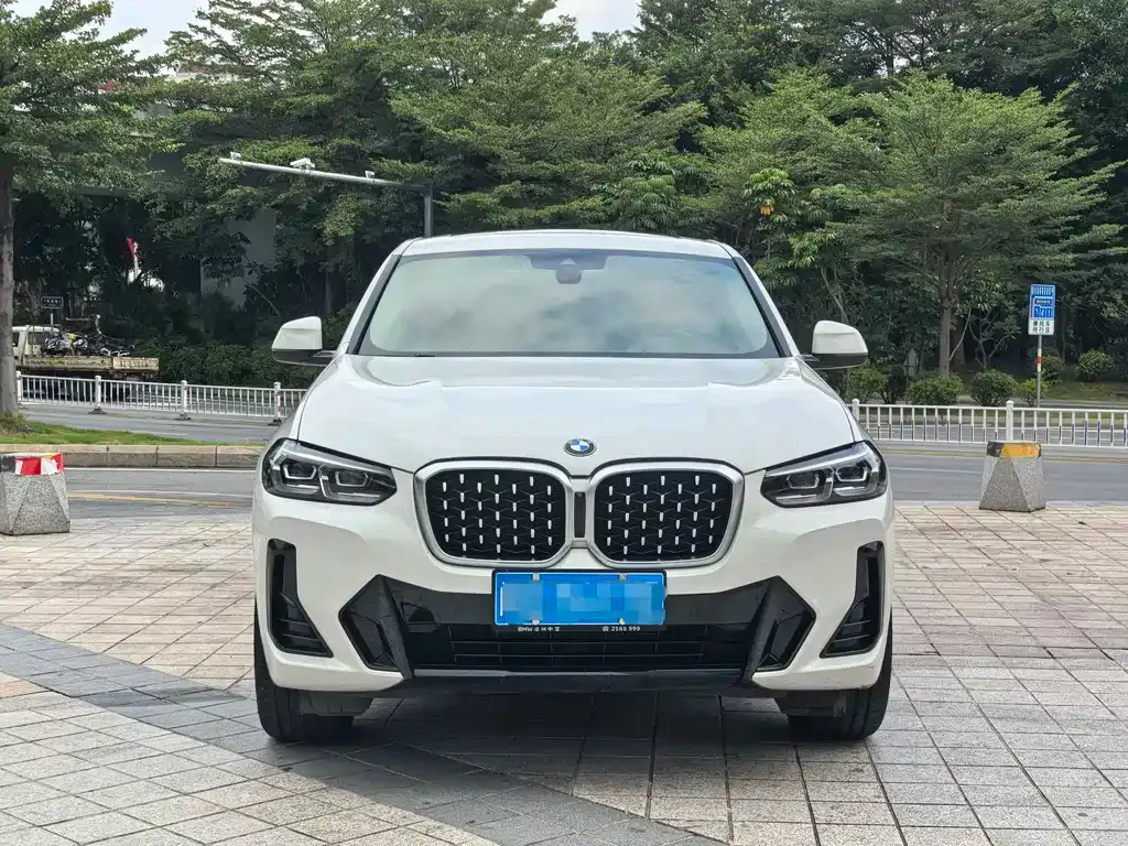 BMW X4 — фото 10