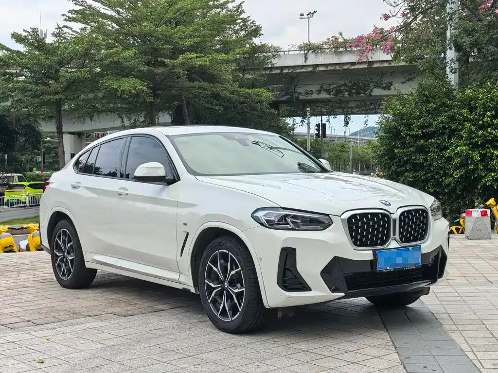 BMW X4 — фото 6