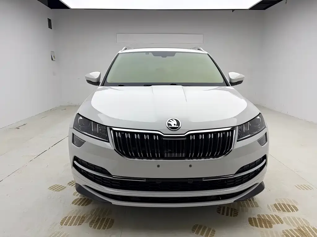 Skoda Karoq — фото 8