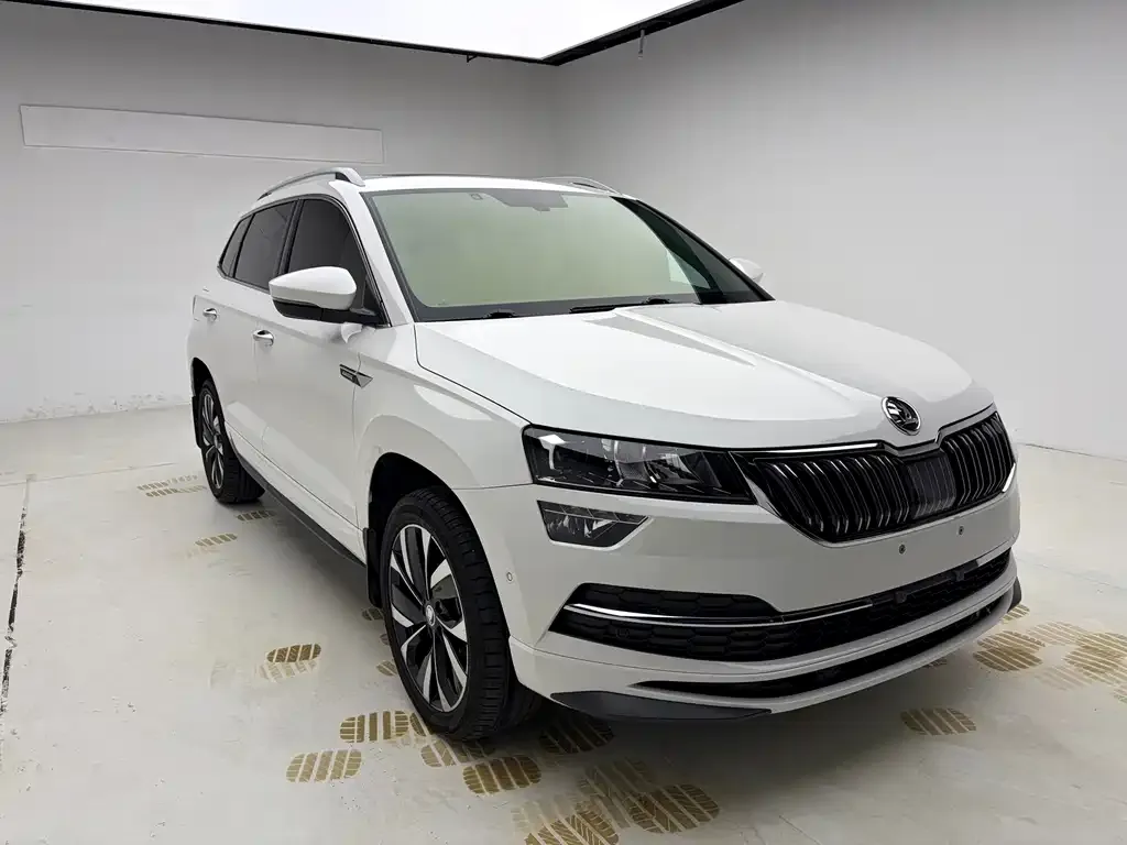 Skoda Karoq — фото 10