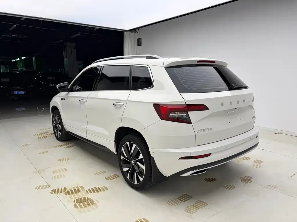 Skoda Karoq — фото 7