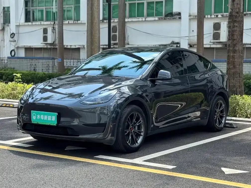 Tesla Model Y — фото 1