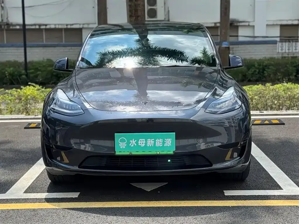 Tesla Model Y — фото 2
