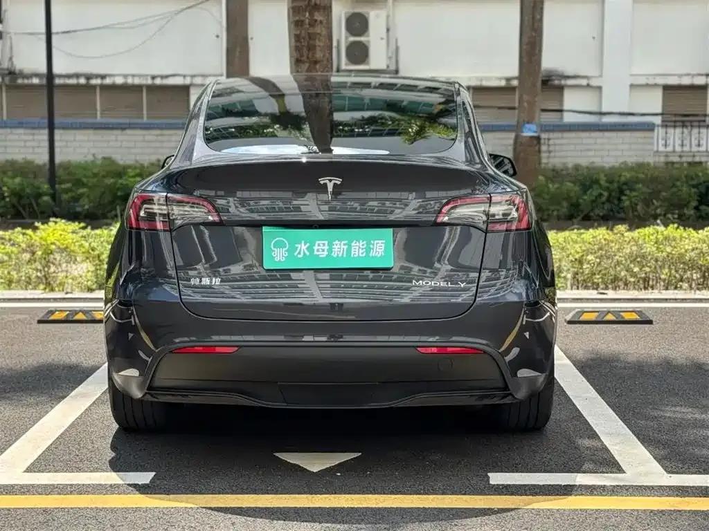 Tesla Model Y — фото 3