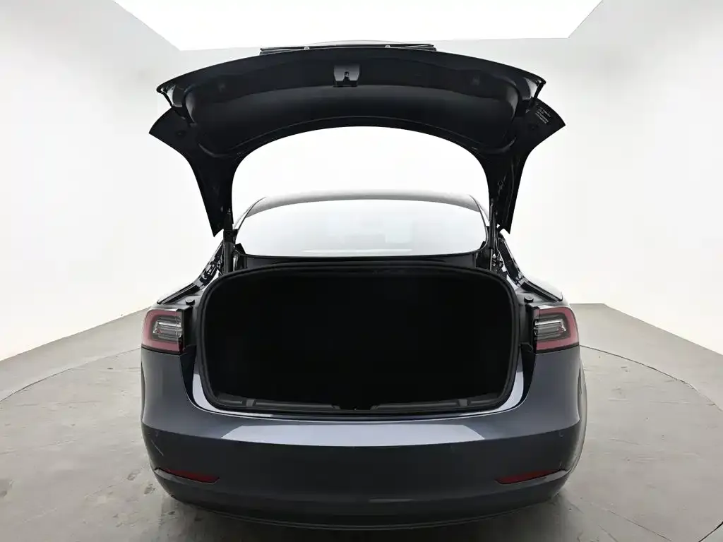 Tesla Model 3 — фото 3