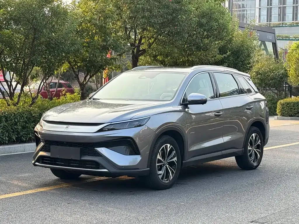 BYD Pro New Energy — фото 1
