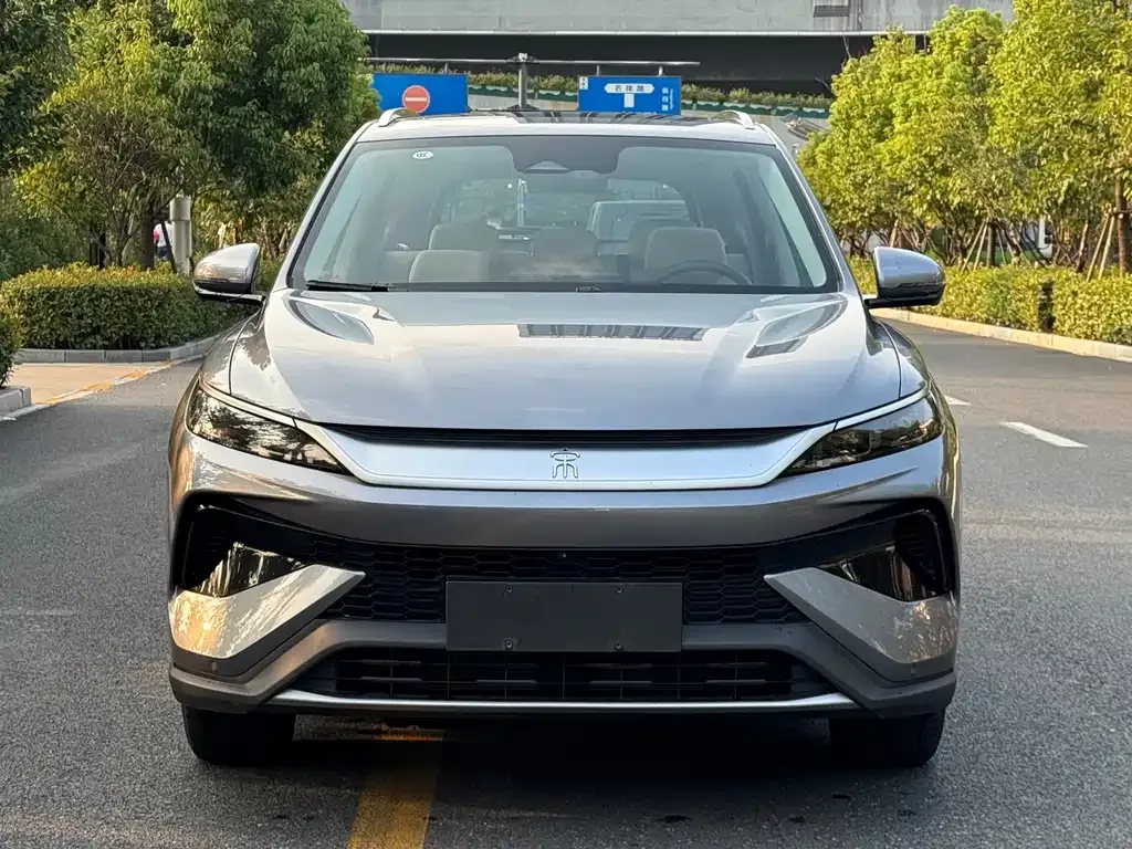 BYD Pro New Energy — фото 3