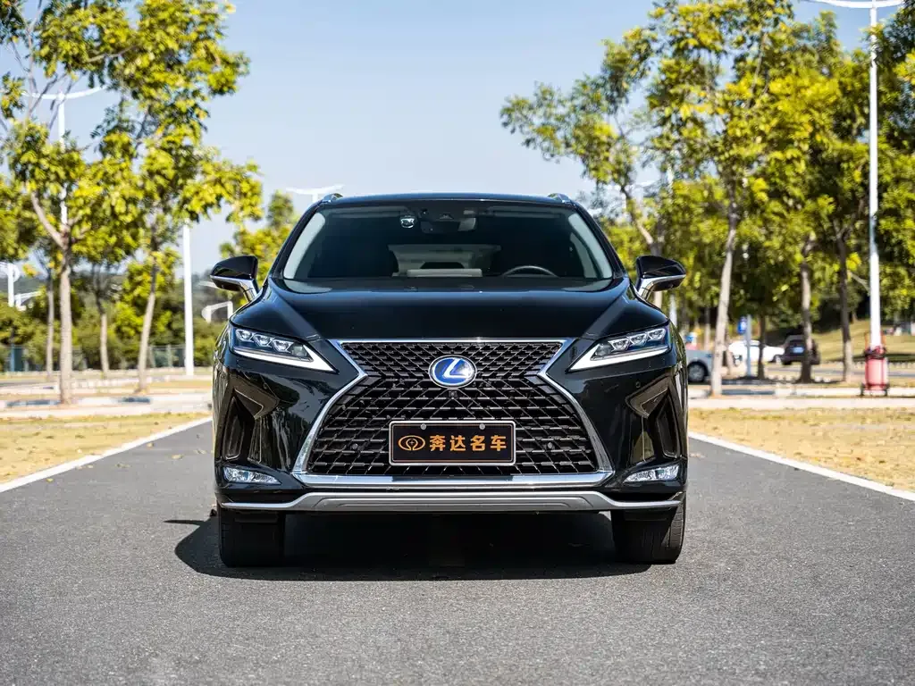 Lexus RX — фото 10