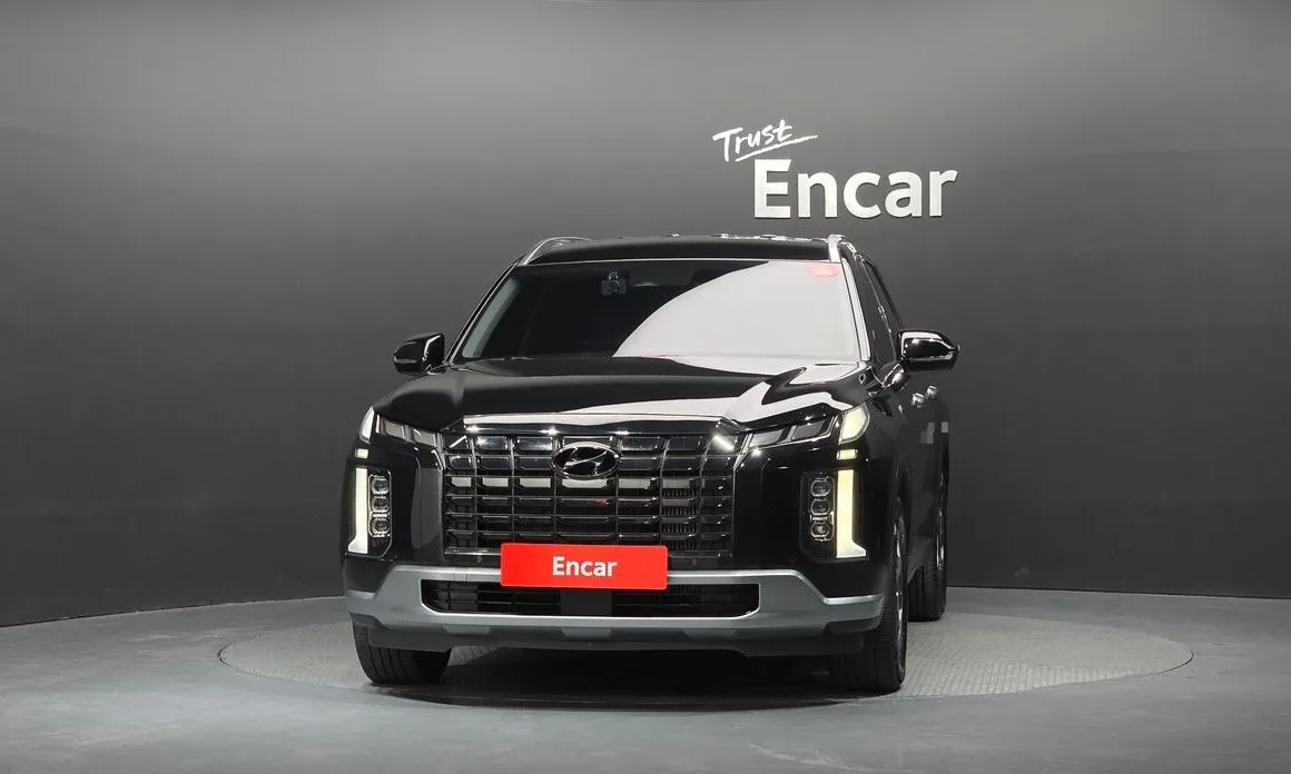 Hyundai Palisade — фото 8