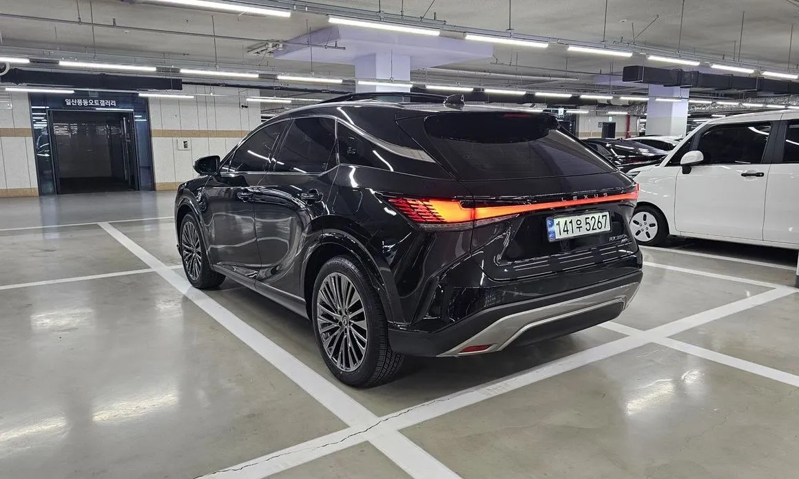 Lexus RX — фото 10
