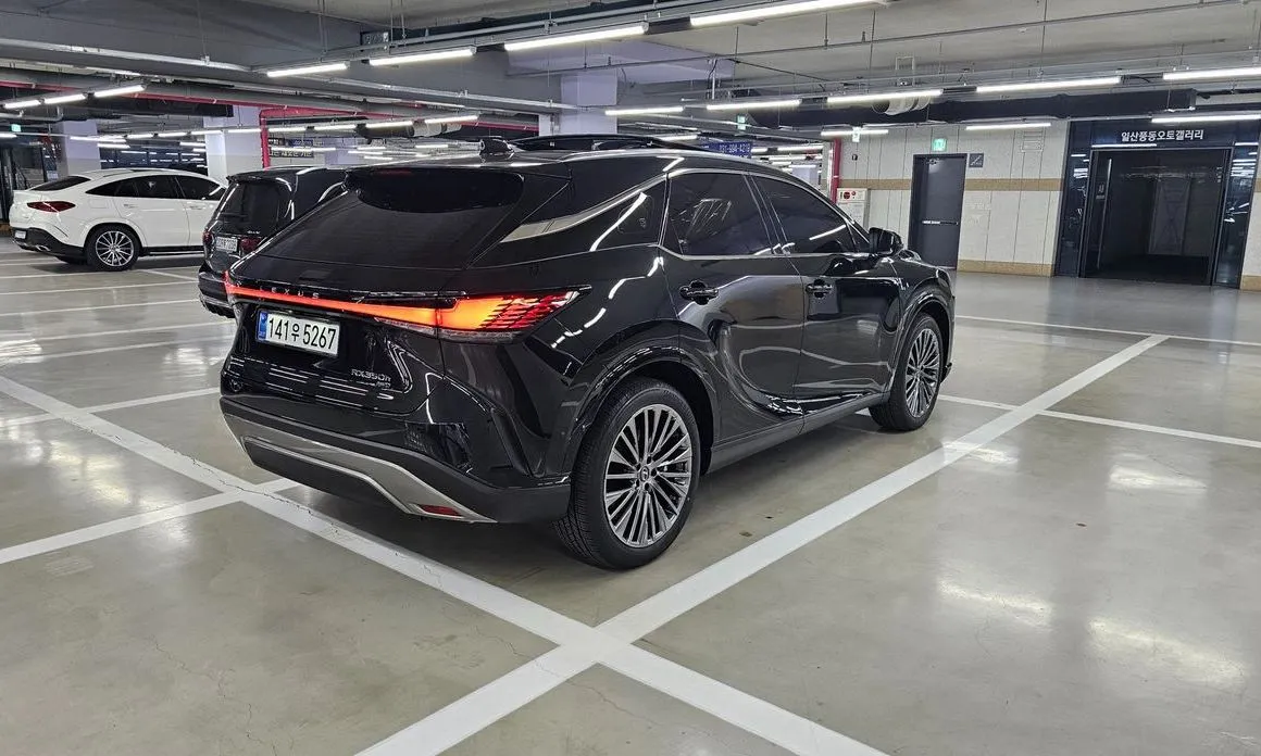Lexus RX — фото 5