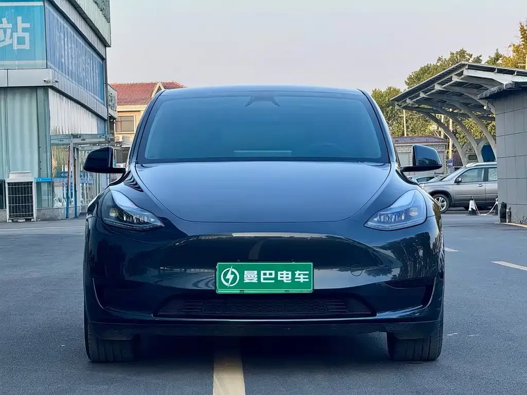 Tesla Model Y — фото 10