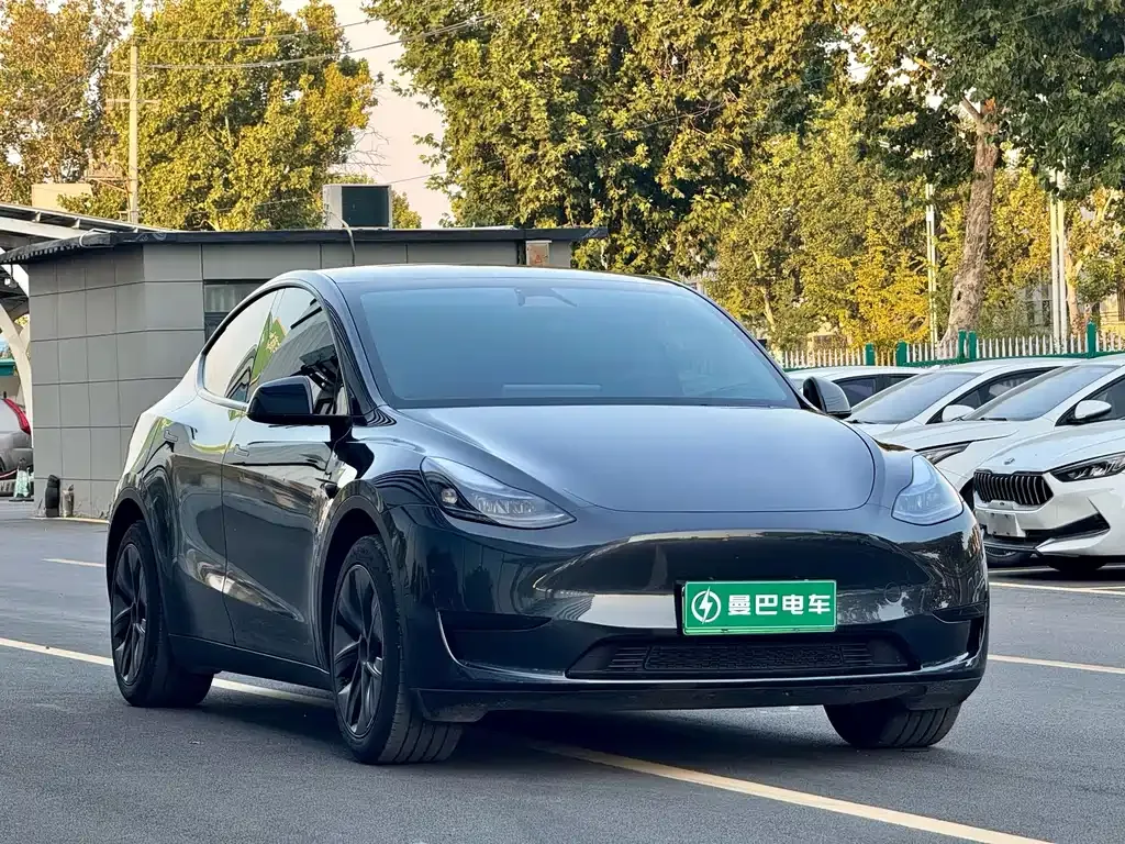 Tesla Model Y — фото 8