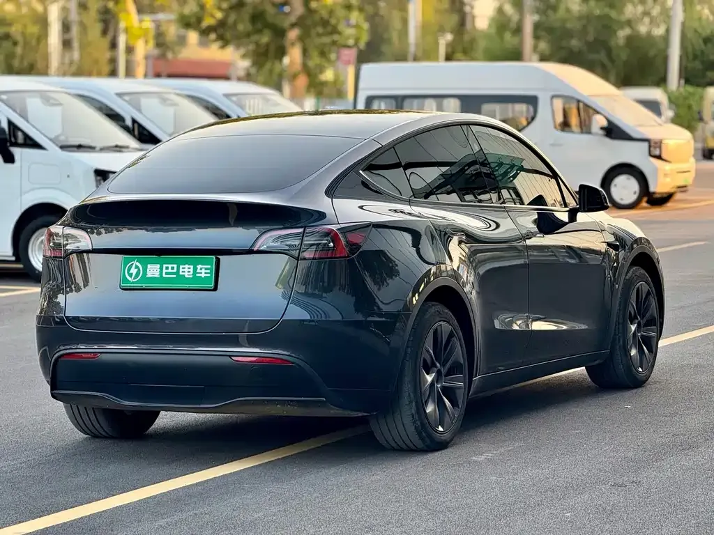 Tesla Model Y — фото 6