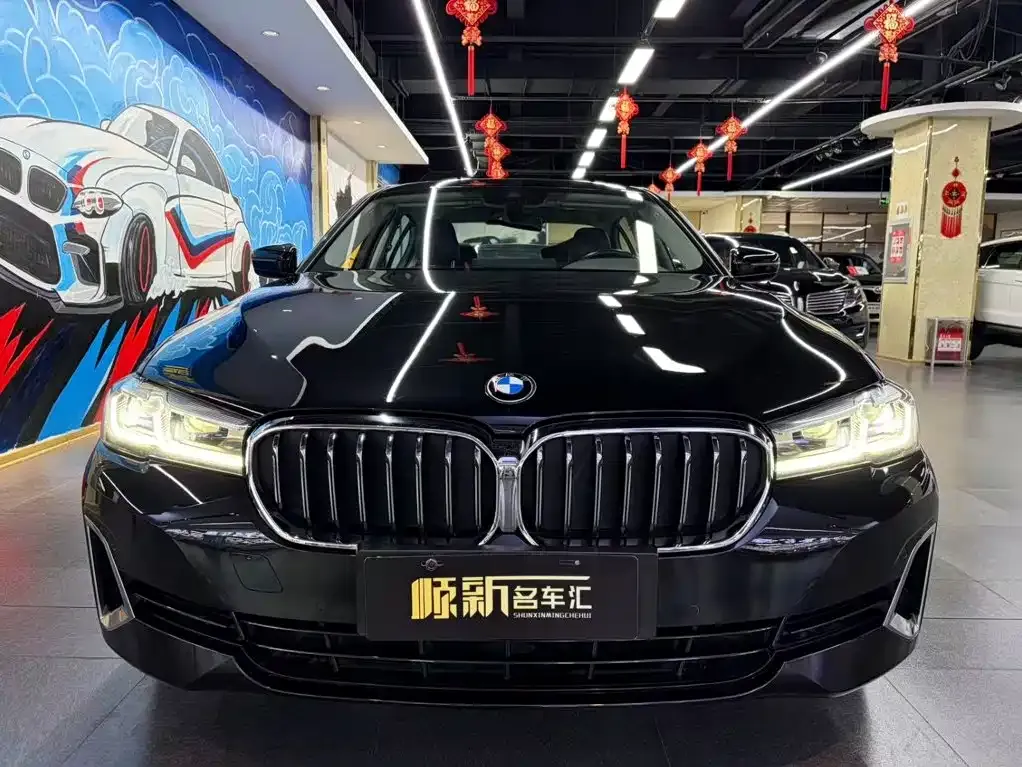 BMW 5 Series New Energy — фото 4