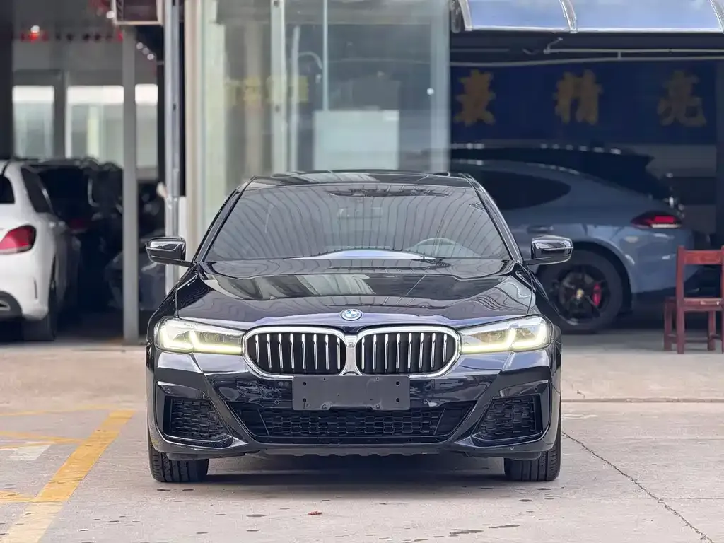 BMW 5 Series New Energy — фото 6