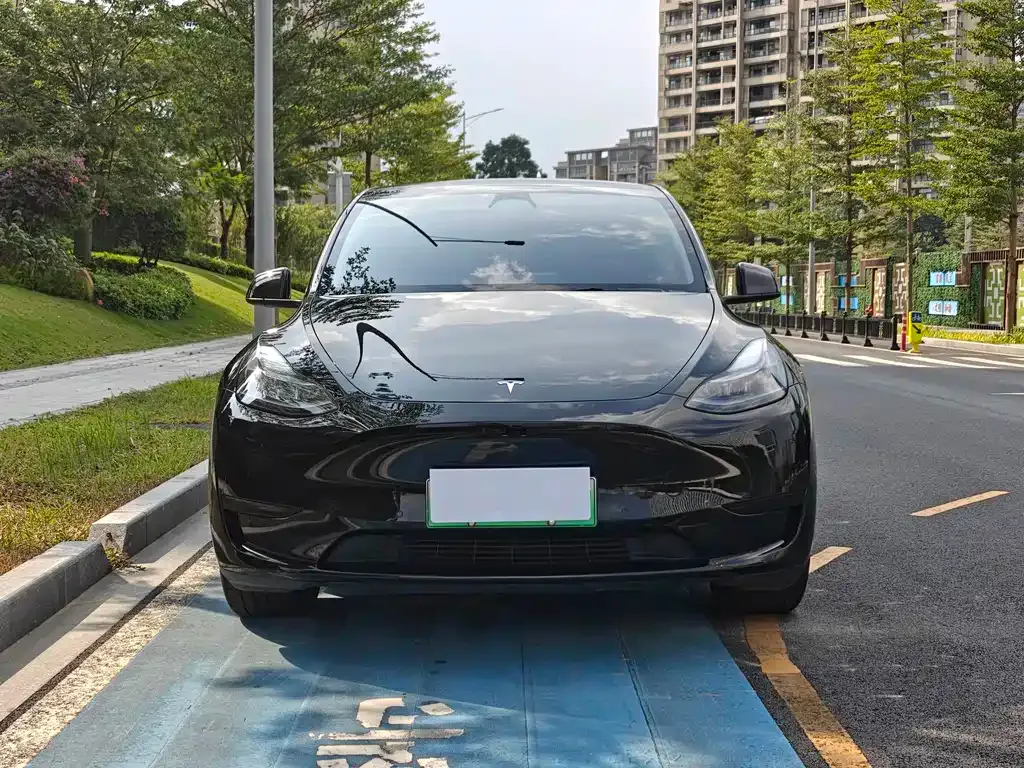 Tesla Model Y — фото 9