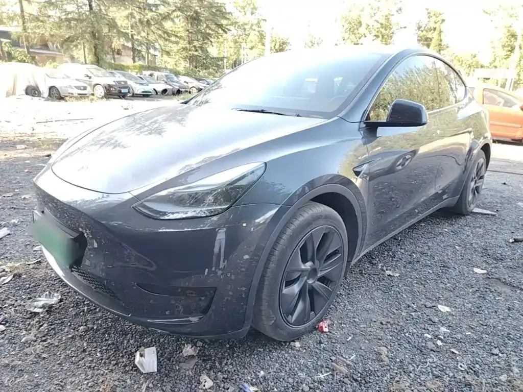 Tesla Model Y — фото 6