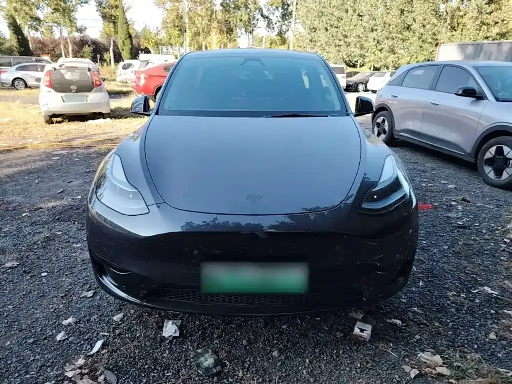 Tesla Model Y — фото 8