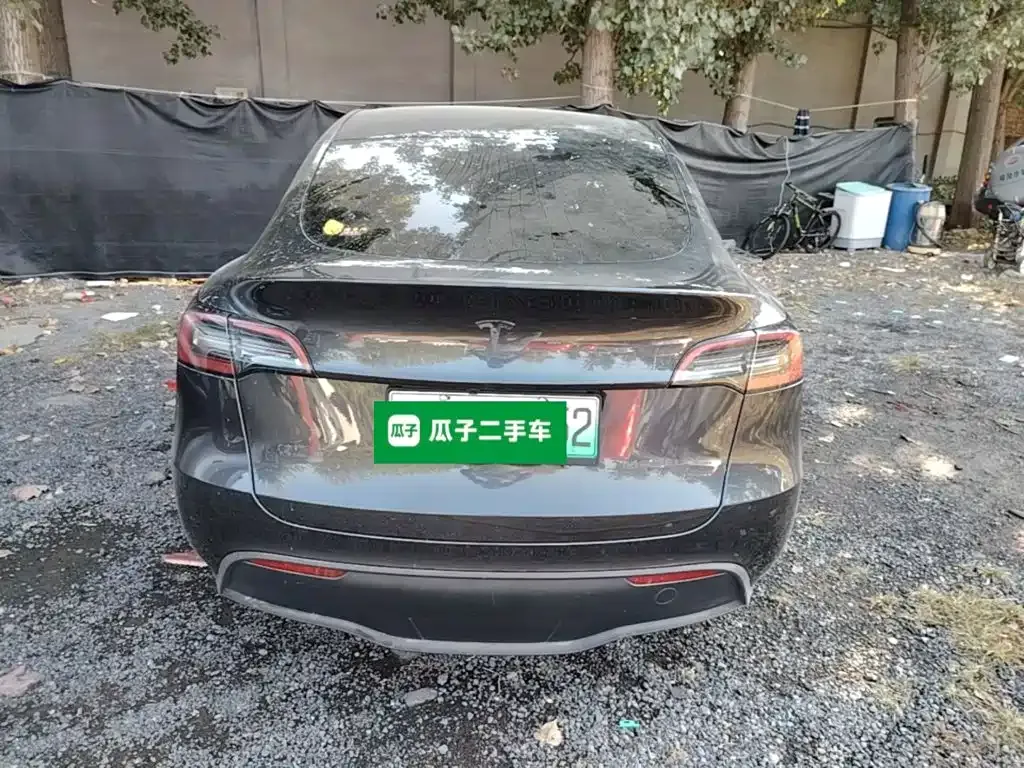 Tesla Model Y — фото 9