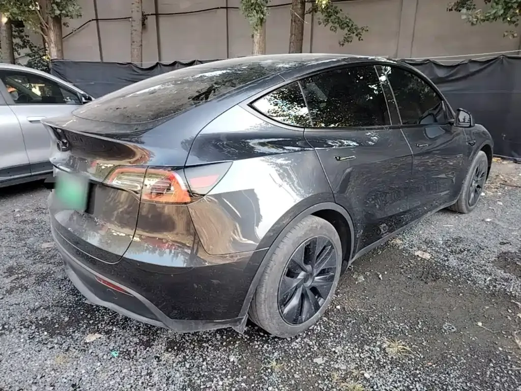 Tesla Model Y — фото 10