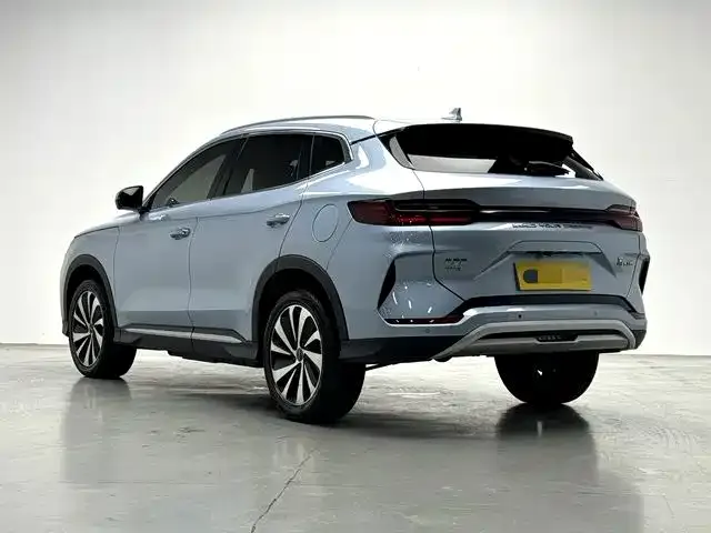 BYD PLUS New Energy — фото 4