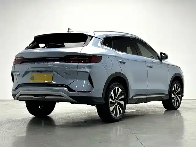 BYD PLUS New Energy — фото 6